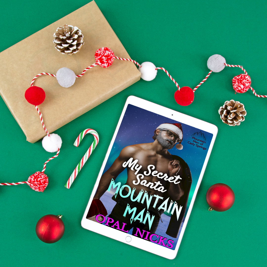 My Secret Santa Mountain Man (Paperback)